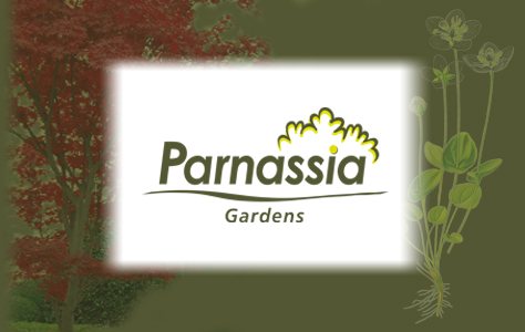 Site Parnassia Garden